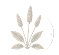 FLOHSAMENSCHALEN