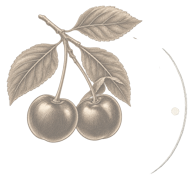 ACEROLA