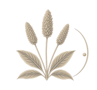 FLOHSAMENSCHALEN
